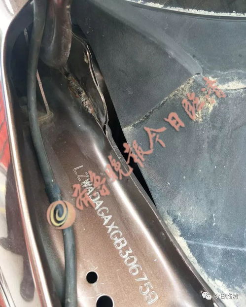 临清一汽修厂老板拼装汽车被处理